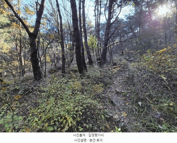 2025타경32056 대구광역시 달성군 옥포읍 반송리 산1 임야 경매 이미지
