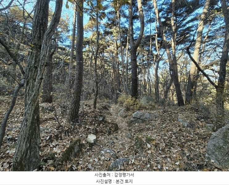 2025타경32056 대구광역시 달성군 옥포읍 반송리 산1 임야 경매 이미지