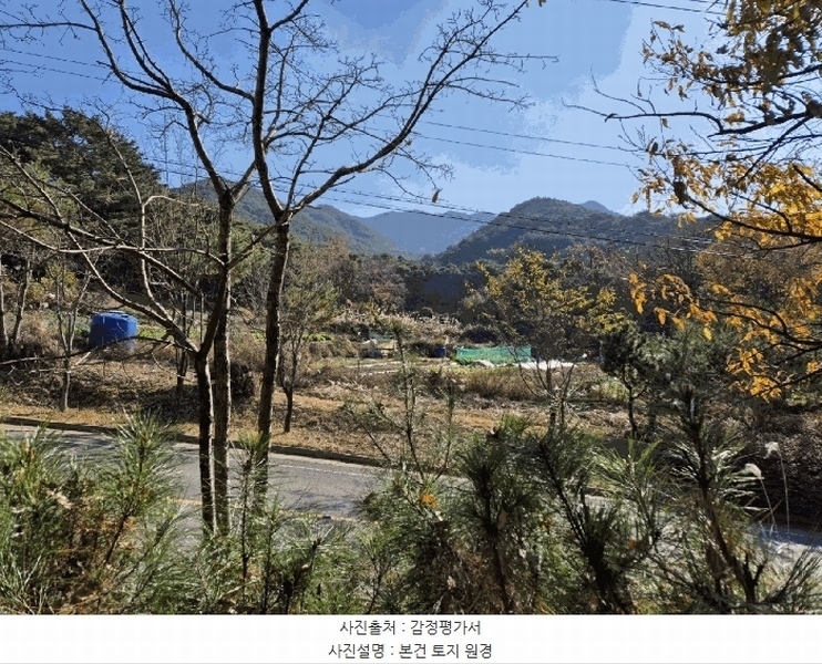 2025타경32056 대구광역시 달성군 옥포읍 반송리 산1 임야 경매 이미지