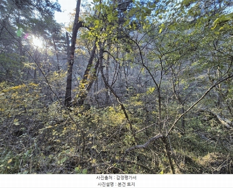 2025타경32056 대구광역시 달성군 옥포읍 반송리 산1 임야 경매 이미지
