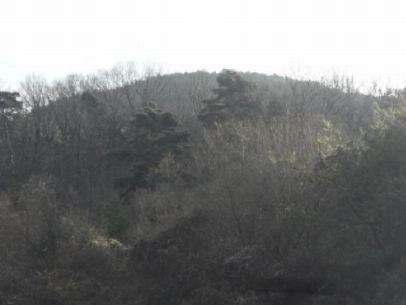2025타경32056 대구광역시 달성군 옥포읍 반송리 산1 임야 경매 이미지