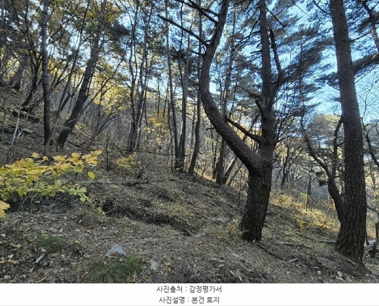 2025타경32056 대구광역시 달성군 옥포읍 반송리 산1 임야 경매 이미지