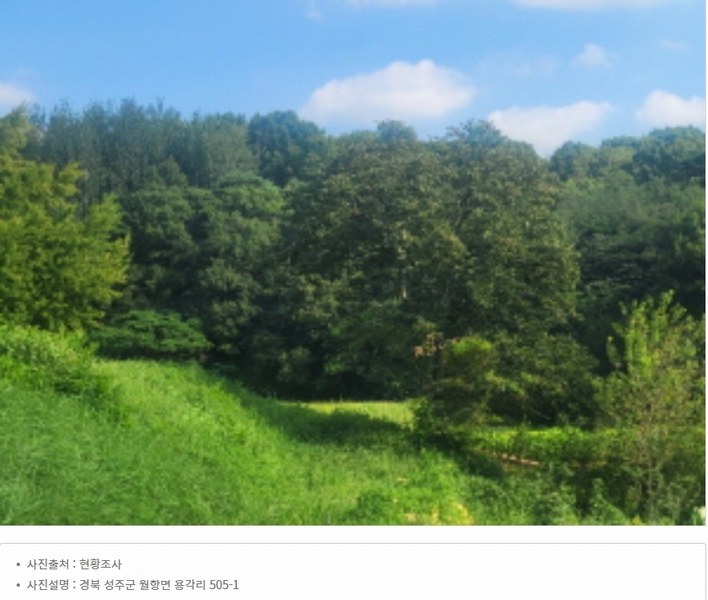 2024타경2095 경상북도 성주군 월항면 용각리 505-1 농지 경매 이미지