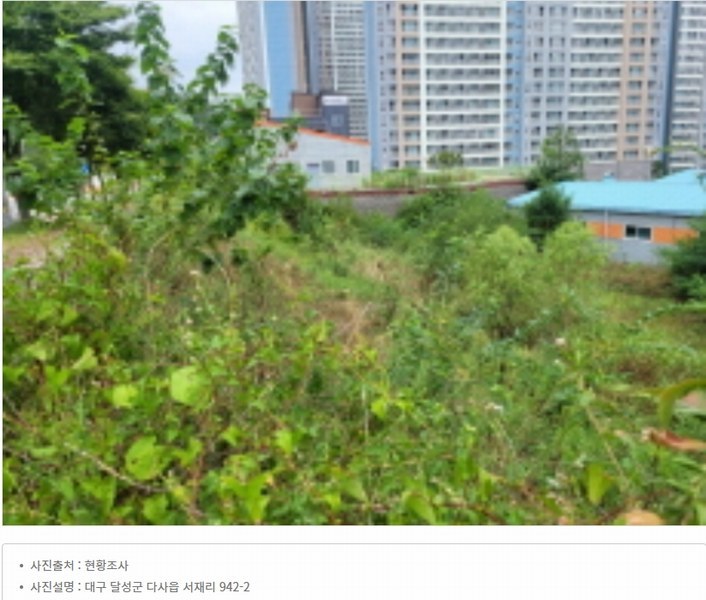 2024타경35408 대구광역시 달성군 다사읍 서재리 942-2 농지 경매 이미지