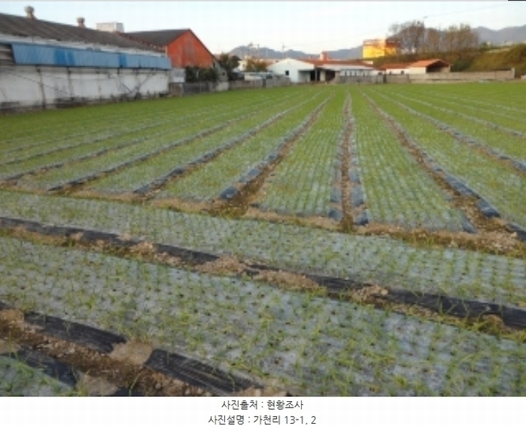 2024타경42734 대구광역시 달성군 구지면 가천리 13-1 농지 경매 이미지