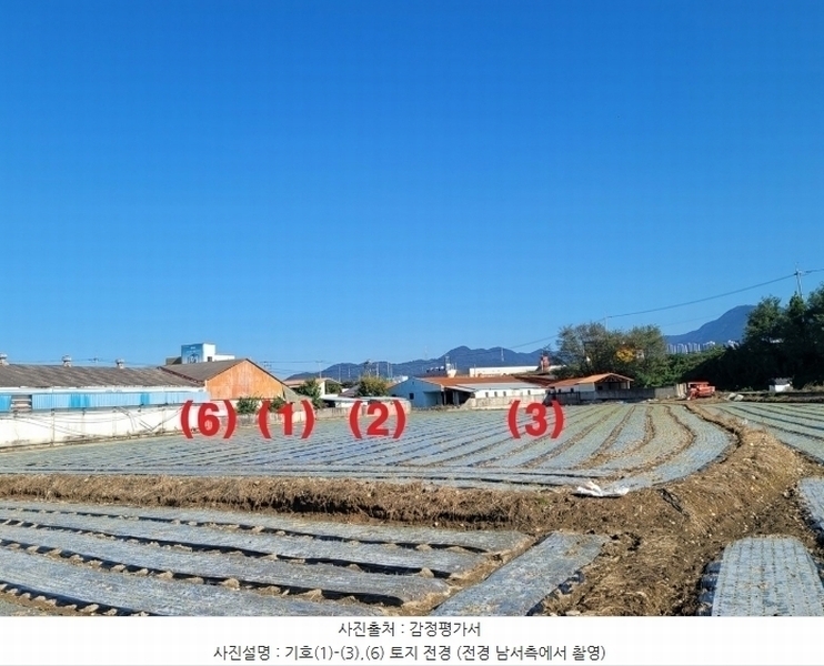2024타경42734 대구광역시 달성군 구지면 가천리 13-1 농지 경매 이미지