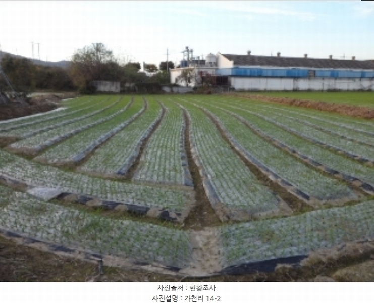 2024타경42734 대구광역시 달성군 구지면 가천리 13-1 농지 경매 이미지