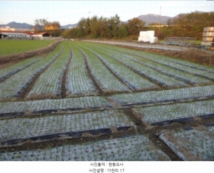 2024타경42734 대구광역시 달성군 구지면 가천리 13-1 농지 경매 이미지