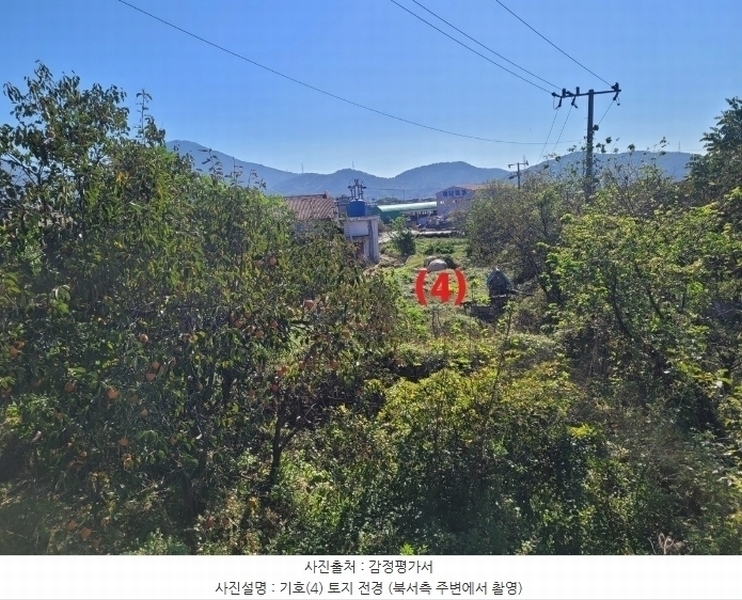 2024타경42734 대구광역시 달성군 구지면 가천리 13-1 농지 경매 이미지