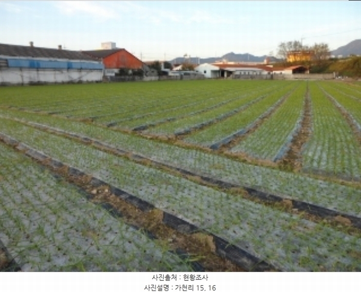 2024타경42734 대구광역시 달성군 구지면 가천리 13-1 농지 경매 이미지