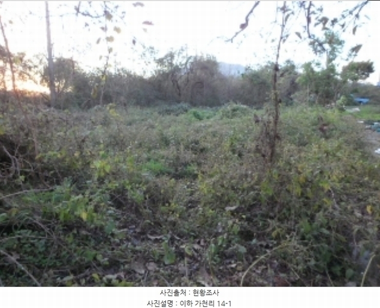 2024타경42734 대구광역시 달성군 구지면 가천리 13-1 농지 경매 이미지