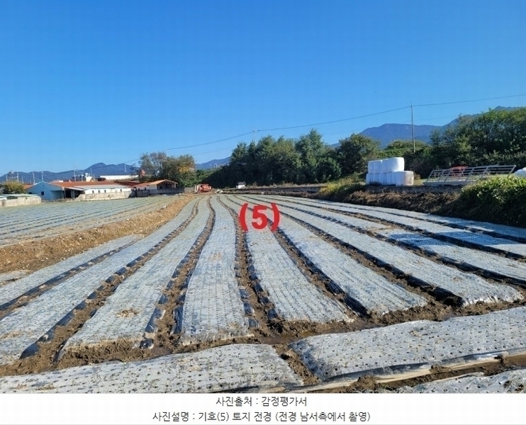 2024타경42734 대구광역시 달성군 구지면 가천리 13-1 농지 경매 이미지