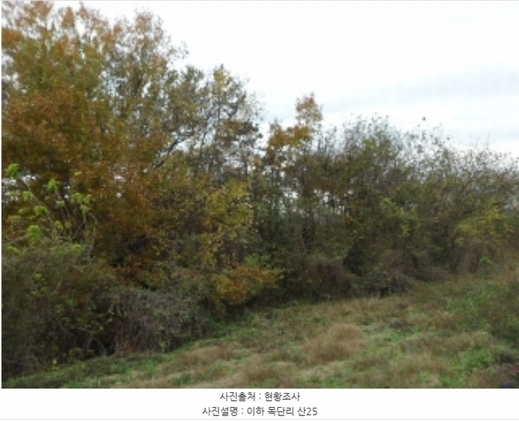2024타경43133 대구광역시 달성군 구지면 목단리 산26 임야 경매 이미지