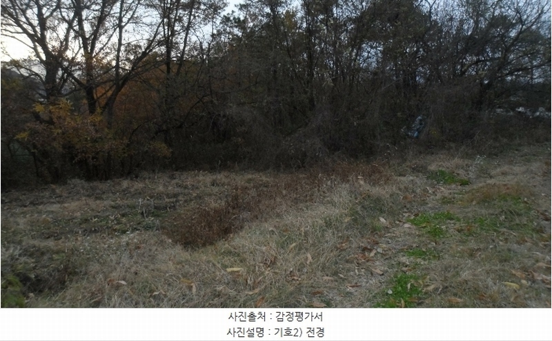 2024타경43133 대구광역시 달성군 구지면 목단리 산26 임야 경매 이미지
