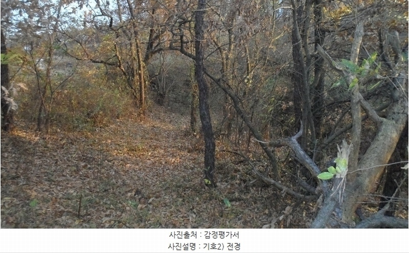 2024타경43133 대구광역시 달성군 구지면 목단리 산26 임야 경매 이미지
