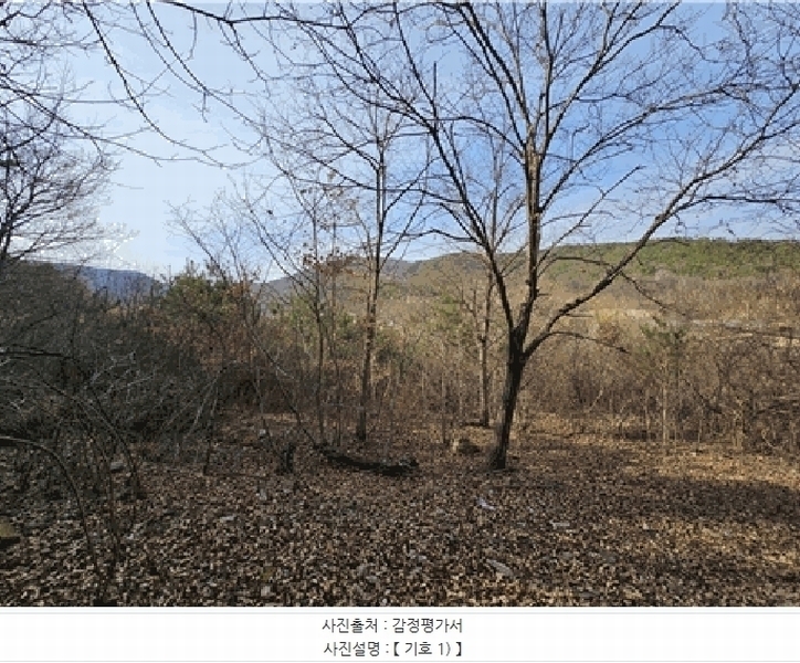 2025타경409 경상북도 고령군 우곡면 속리 8 농지 경매 이미지