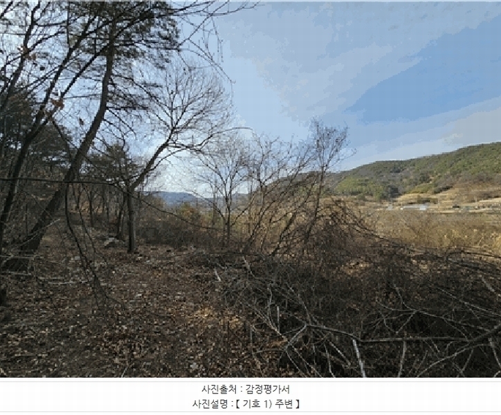 2025타경409 경상북도 고령군 우곡면 속리 8 농지 경매 이미지