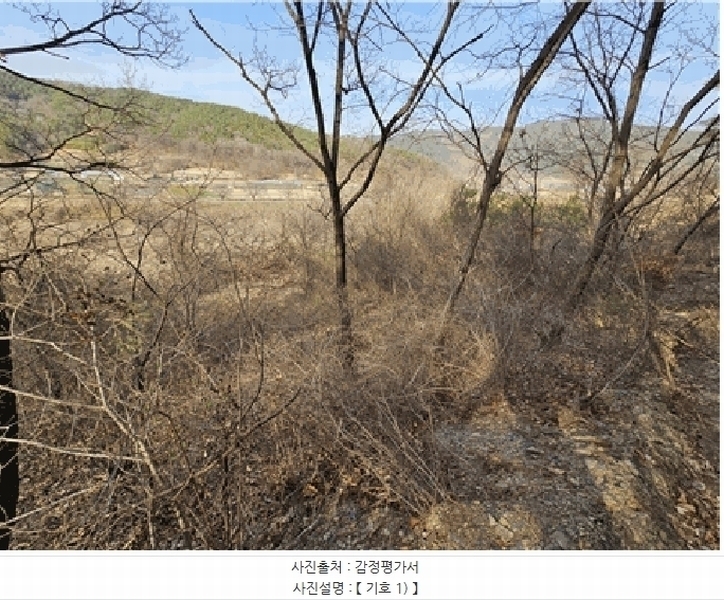 2025타경409 경상북도 고령군 우곡면 속리 8 농지 경매 이미지