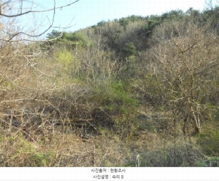 2025타경409 경상북도 고령군 우곡면 속리 8 농지 경매 이미지