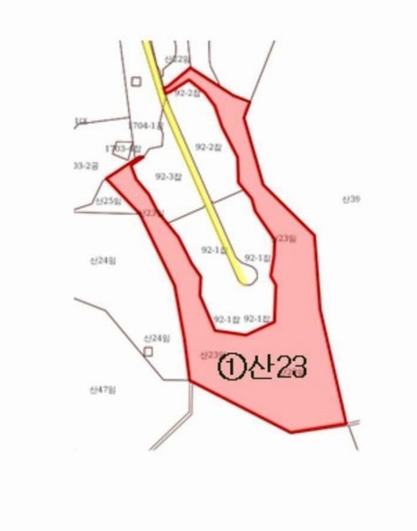 2025타경1365 대구광역시 달성군 다사읍 세천리 산23 임야 경매 이미지