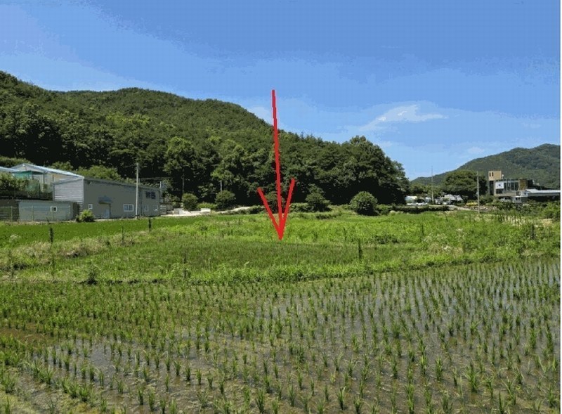 2025타경1785 대구광역시 달성군 가창면 삼산리 1033 농지 경매 이미지