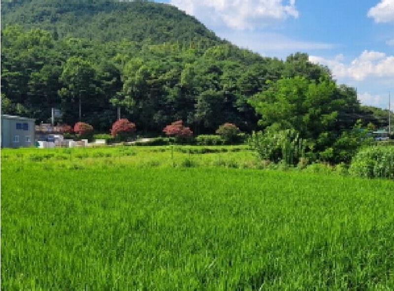 2025타경1785 대구광역시 달성군 가창면 삼산리 1033 농지 경매 이미지