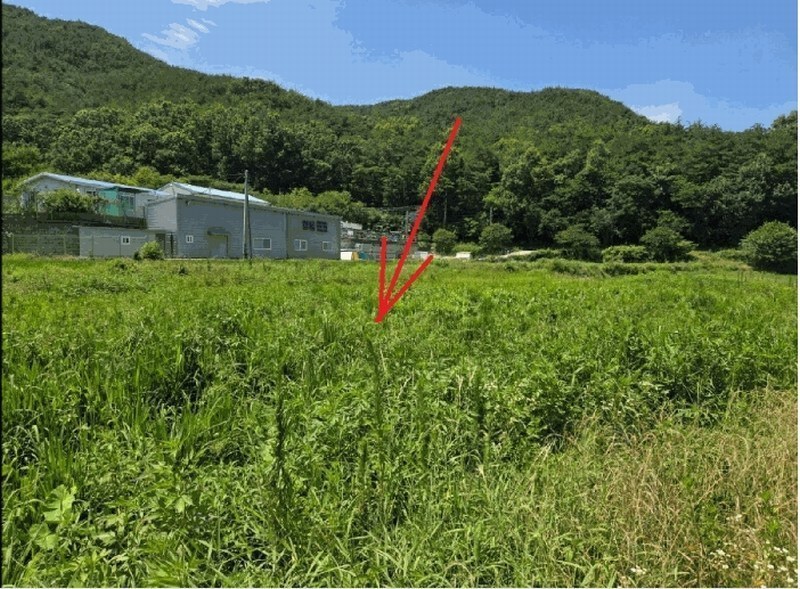 2025타경1785 대구광역시 달성군 가창면 삼산리 1033 농지 경매 이미지