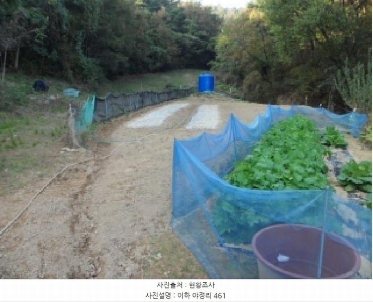 2025타경3224 경상북도 고령군 우곡면 야정리 461 농지 경매 이미지