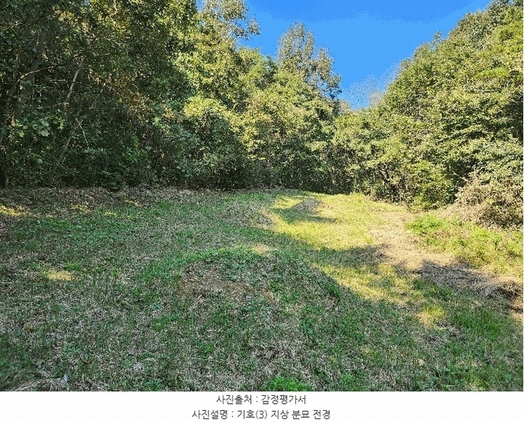 2025타경3224 경상북도 고령군 우곡면 야정리 461 농지 경매 이미지