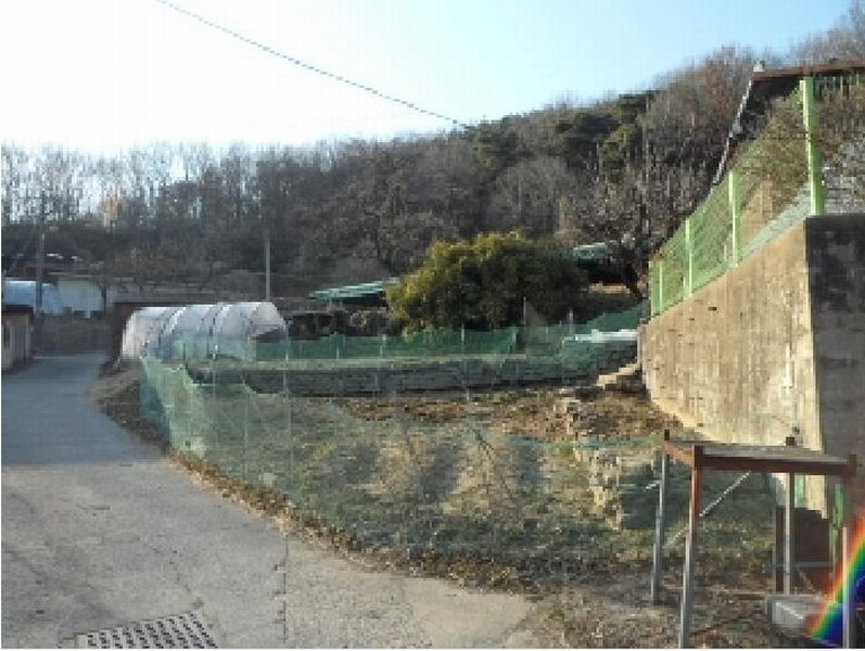 2025타경30954 경상북도 고령군 성산면 오곡리 70 대지 경매 이미지