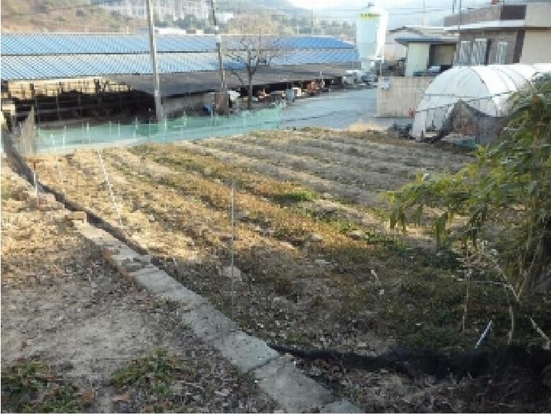 2025타경30954 경상북도 고령군 성산면 오곡리 70 대지 경매 이미지