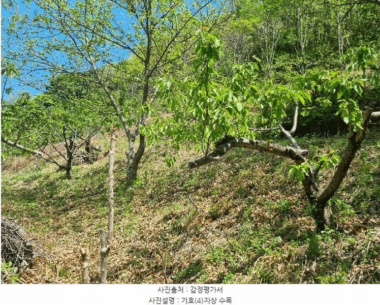 2025타경31110 대구광역시 달성군 가창면 오리 937-2 주택 경매 이미지