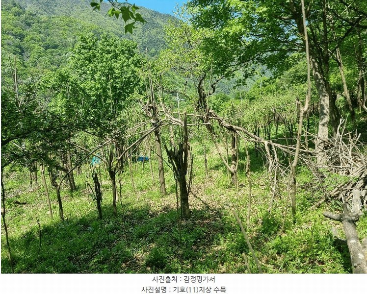 2025타경31110 대구광역시 달성군 가창면 오리 937-2 주택 경매 이미지