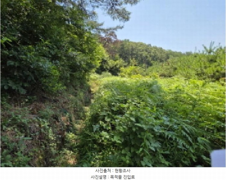 2025타경31351 대구광역시 달성군 다사읍 매곡리 426 농지 경매 이미지