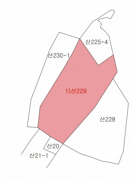 2025타경31483 대구광역시 달성군 논공읍 노이리 산229 임야 경매 이미지