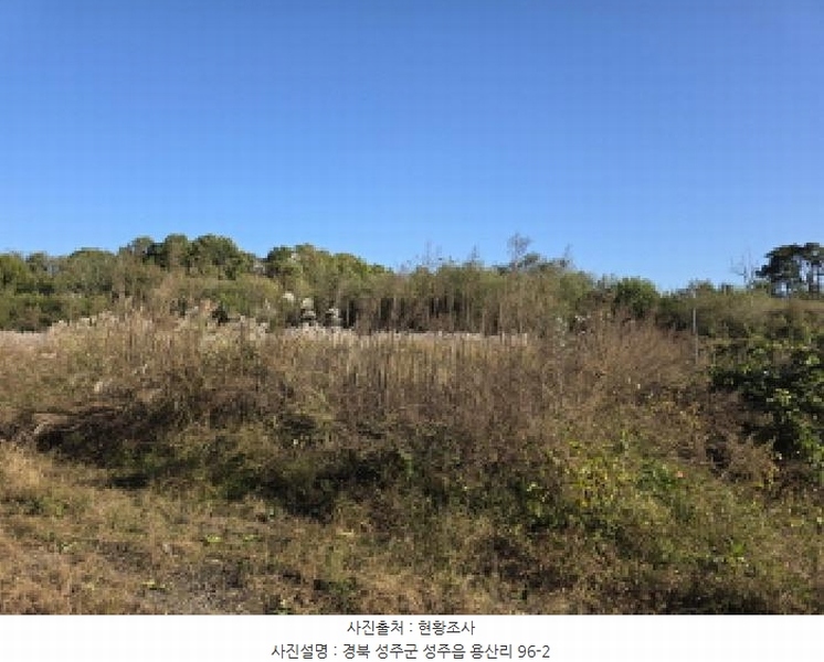 2025타경31568 경상북도 성주군 성주읍 용산리 92 임야 경매 이미지