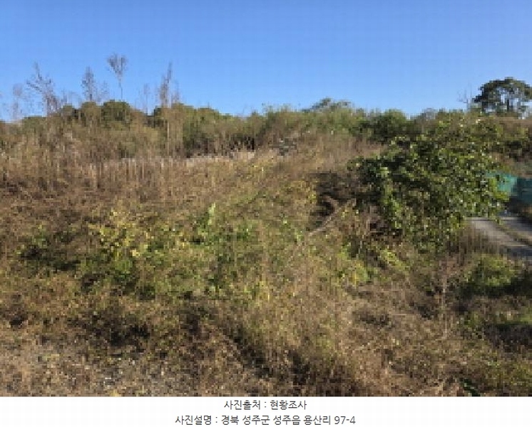 2025타경31568 경상북도 성주군 성주읍 용산리 92 임야 경매 이미지