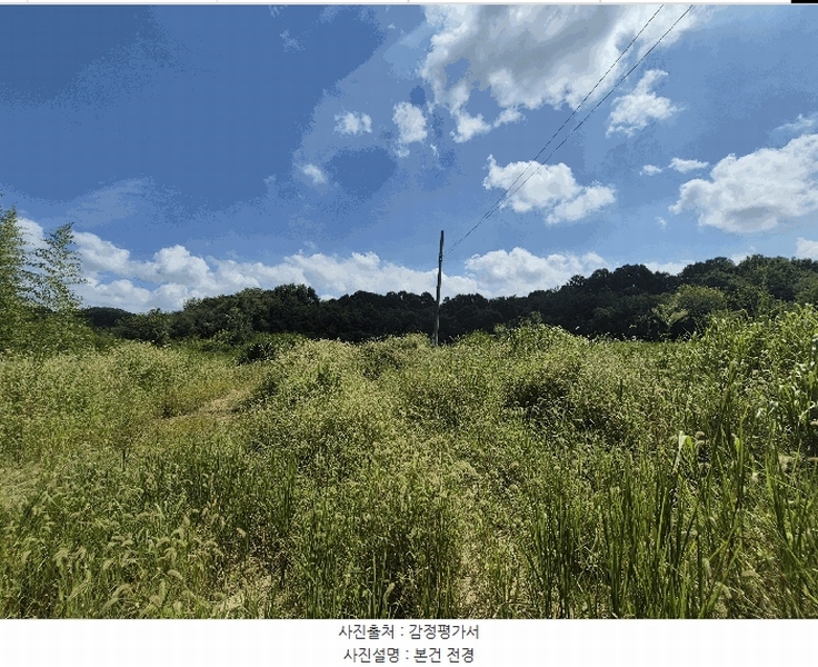 2025타경31568 경상북도 성주군 성주읍 용산리 92 임야 경매 이미지