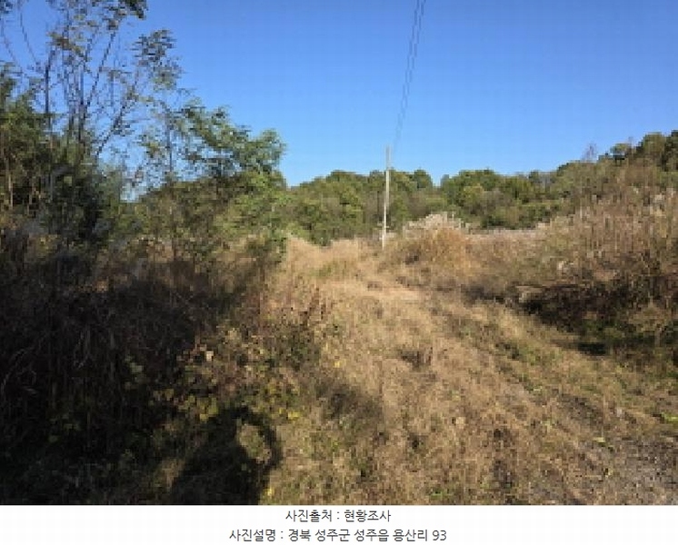 2025타경31568 경상북도 성주군 성주읍 용산리 92 임야 경매 이미지