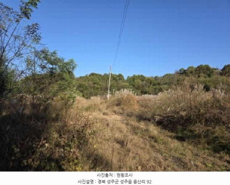 2025타경31568 경상북도 성주군 성주읍 용산리 92 임야 경매 이미지