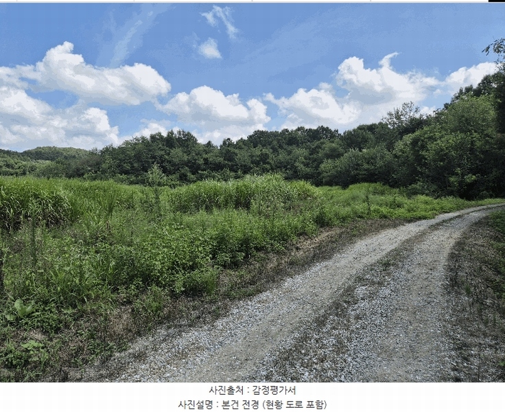 2025타경31568 경상북도 성주군 성주읍 용산리 92 임야 경매 이미지