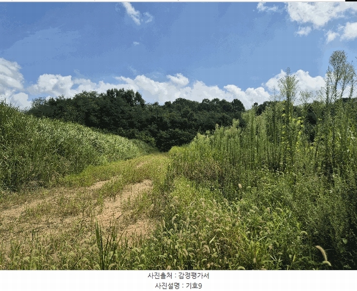 2025타경31568 경상북도 성주군 성주읍 용산리 92 임야 경매 이미지