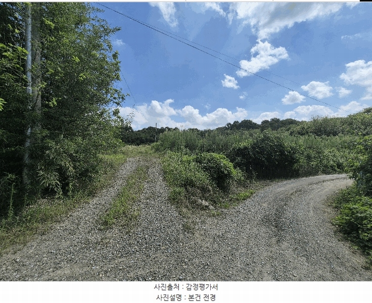 2025타경31568 경상북도 성주군 성주읍 용산리 92 임야 경매 이미지