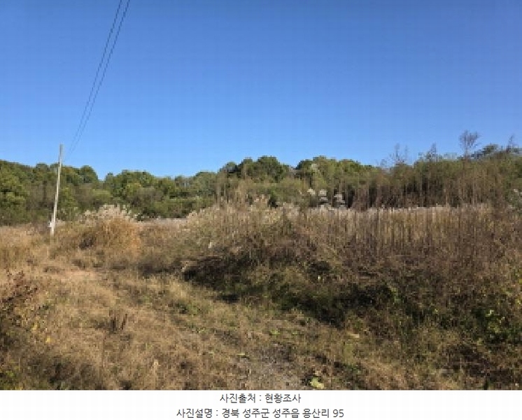 2025타경31568 경상북도 성주군 성주읍 용산리 92 임야 경매 이미지