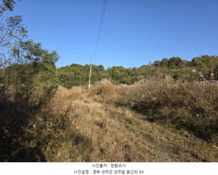 2025타경31568 경상북도 성주군 성주읍 용산리 92 임야 경매 이미지