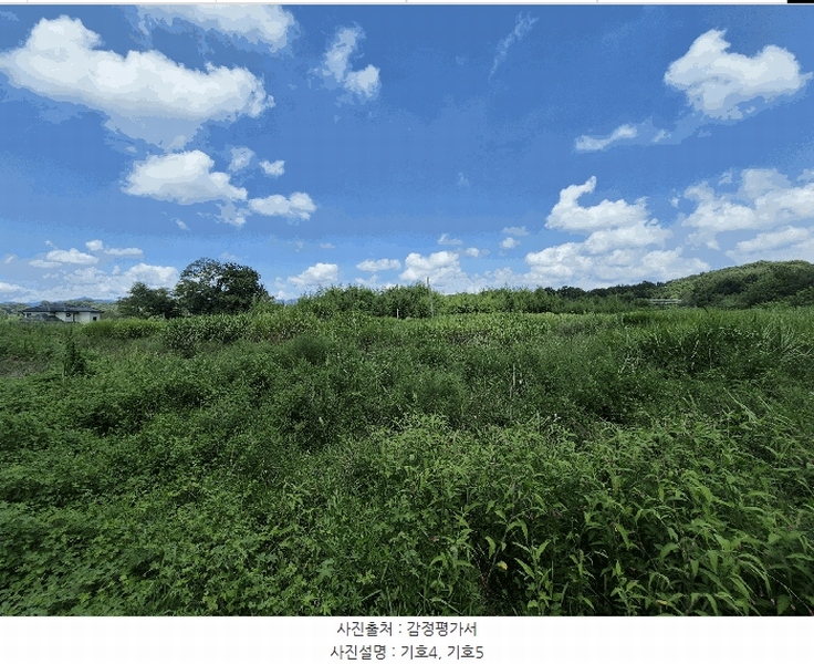 2025타경31568 경상북도 성주군 성주읍 용산리 92 임야 경매 이미지