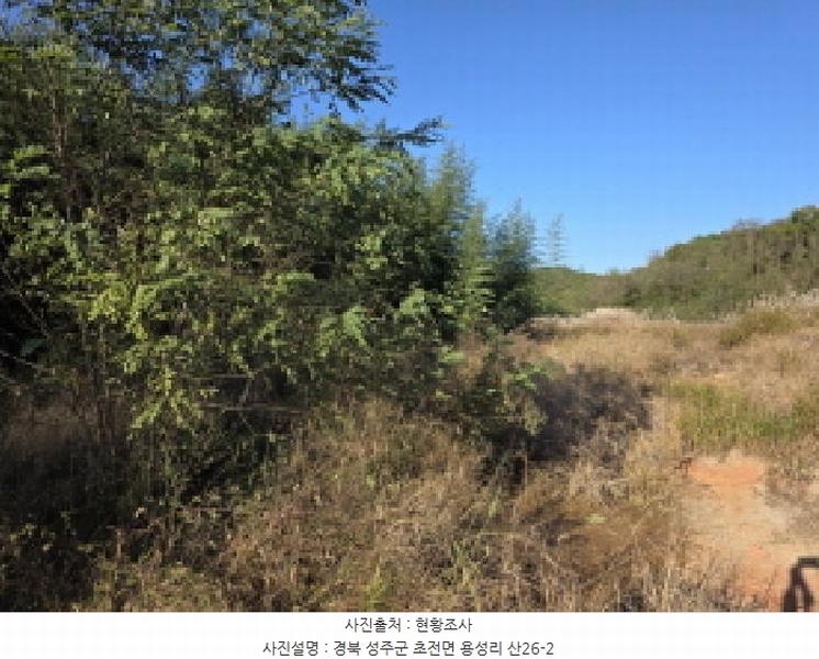 2025타경31568 경상북도 성주군 성주읍 용산리 92 임야 경매 이미지