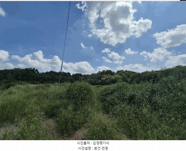 2025타경31568 경상북도 성주군 성주읍 용산리 92 임야 경매 이미지