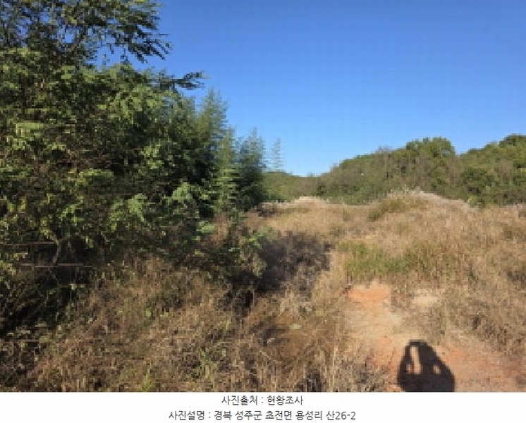 2025타경31568 경상북도 성주군 성주읍 용산리 92 임야 경매 이미지