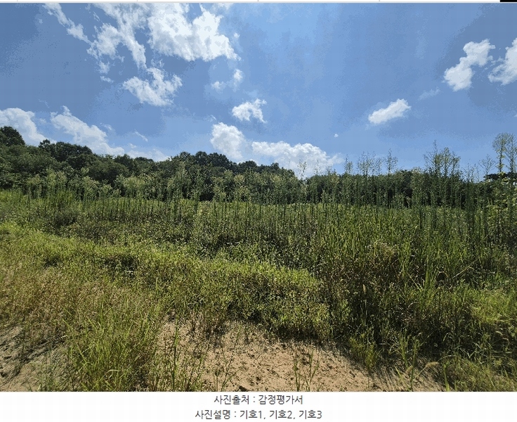 2025타경31568 경상북도 성주군 성주읍 용산리 92 임야 경매 이미지